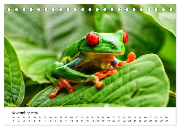 Produktbild: Costa Rica - das Naturparadies (Tischkalender 2026 DIN A5 quer), CALVENDO Monatskalender