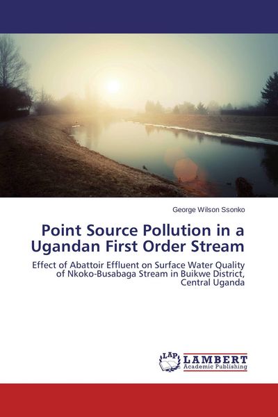Produktbild: Point Source Pollution in a Ugandan First Order Stream