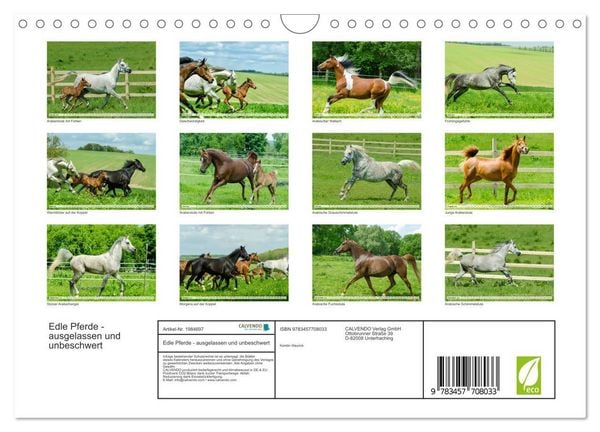 Produktbild: Edle Pferde - ausgelassen und unbeschwert (Wandkalender 2026 DIN A4 quer), CALVENDO Monatskalender