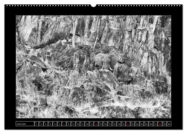 Produktbild: Afrika Schwarz - Weiss (hochwertiger Premium Wandkalender 2026 DIN A2 quer), Kunstdruck in Hochglanz