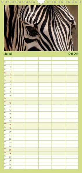 Produktbild: Familienplaner Zebras - Faszination der Wildnis (Wandkalender 2022 , 21 cm x 45 cm, hoch)