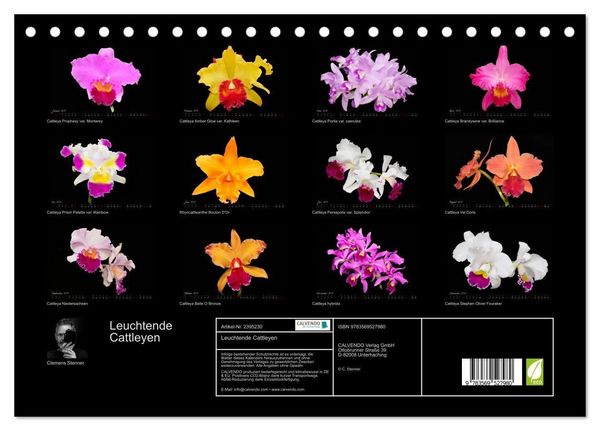 Produktbild: Leuchtende Cattleyen (Tischkalender 2027 DIN A5 quer), CALVENDO Monatskalender