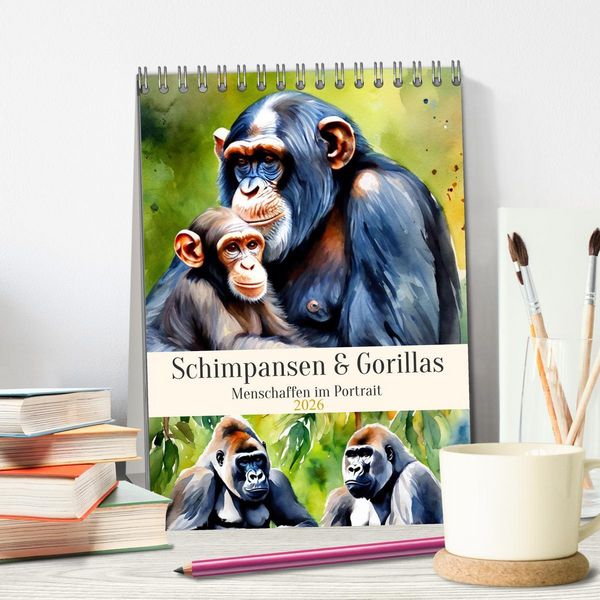 Produktbild: Schimpansen & Gorillas (Tischkalender 2026 DIN A5 hoch), CALVENDO Monatskalender