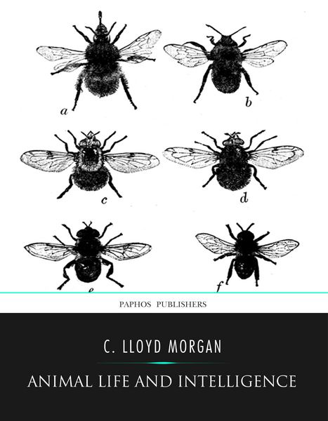 Produktbild: Animal Life and Intelligence