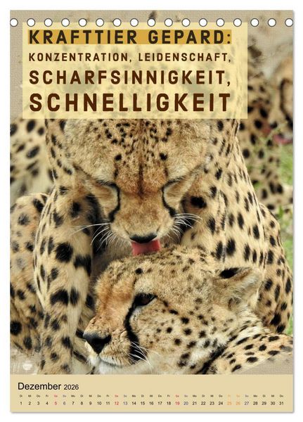 Produktbild: Afrikanische Krafttiere und deren Bedeutung (Tischkalender 2026 DIN A5 hoch), CALVENDO Monatskalender