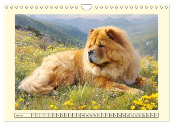 Produktbild: Chow Chow Momente. Fellpoesie aus dem Reich der Mitte (Wandkalender 2026 DIN A4 quer), CALVENDO Monatskalender