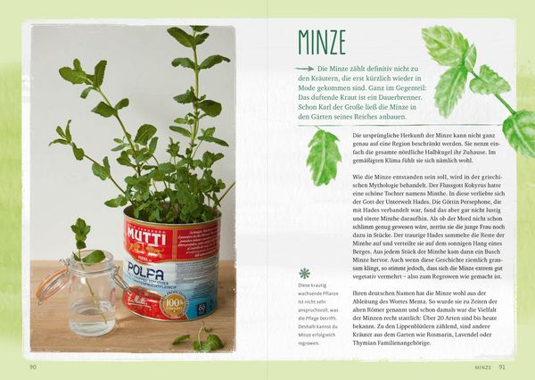 Produktbild: Regrow your veggies