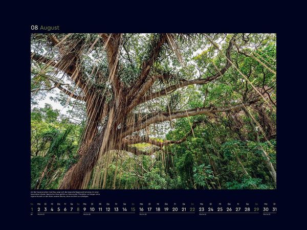 Produktbild: Alte B&auml;ume, Sinnbilder des Lebens - KUNTH Wandkalender 2027