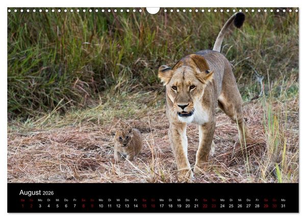 Produktbild: Afrika - Faszination Tierwelt (Wandkalender 2026 DIN A3 quer), CALVENDO Monatskalender