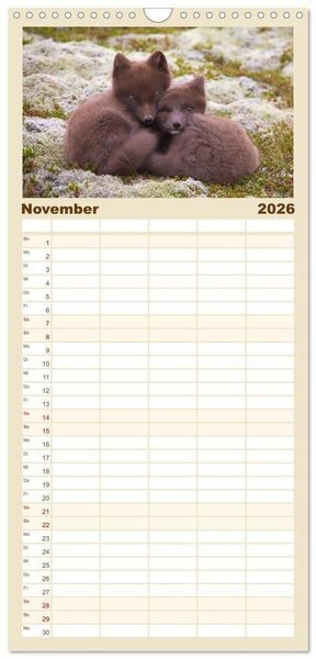 Produktbild: Familienplaner 2026 - Polarfuchs-Welpen mit 5 Spalten (Wandkalender, 21 x 45 cm) CALVENDO