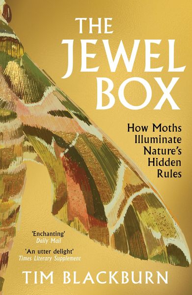 Produktbild: The Jewel Box