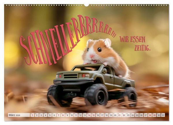 Produktbild: Hamsterhumor - Kleine Zuckerschnute, aber oho (hochwertiger Premium Wandkalender 2026 DIN A2 quer), Kunstdruck in Hochglanz