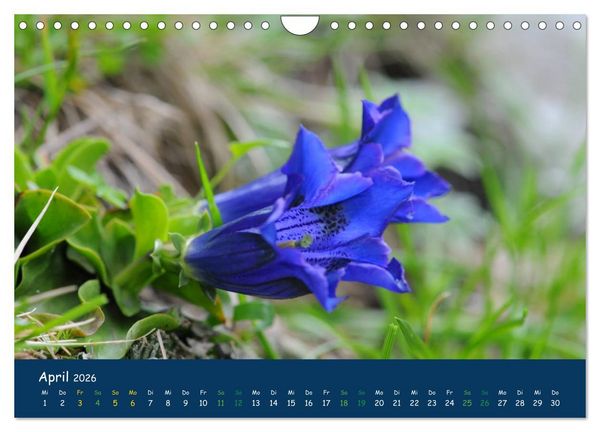 Produktbild: Bergwelt Hohe Tauern - Wandergenuss in alpiner Landschaft (Wandkalender 2026 DIN A4 quer), CALVENDO Monatskalender