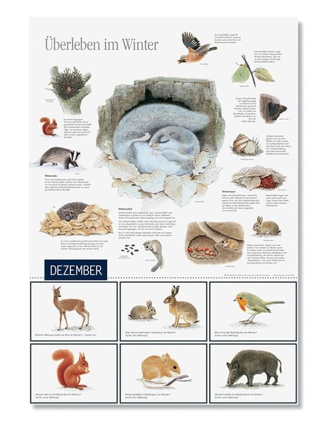 Produktbild: Natur erleben durch das Jahr - 2