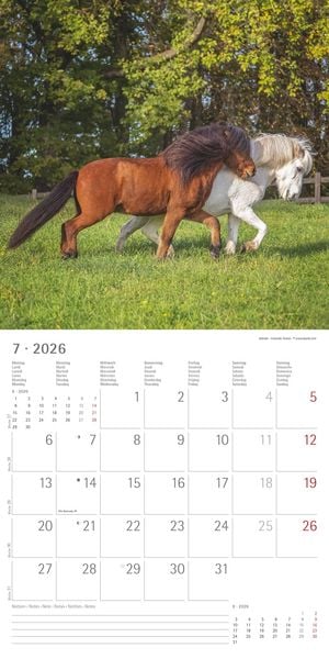Produktbild: Pferde 2026 - Broschürenkalender 30x30 cm (30x60 geöffnet) - Kalender mit Platz für Notizen - Horses - Bildkalender - Wandplaner - Pferdekalender