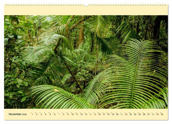 Produktbild: Australien - Der vielseitige Osten (Wandkalender 2026 DIN A2 quer), CALVENDO Monatskalender