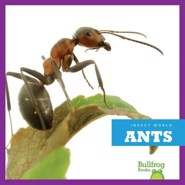 Produktbild: Ants