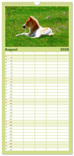 Produktbild: Familienplaner 2026 - Ponys. Herzensbrecher mit Grips mit 5 Spalten (Wandkalender, 21 x 45 cm) CALVENDO