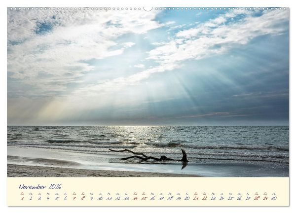 Produktbild: OSTSEEGL&Uuml;CK - Gl&uuml;cksmomente auf dem Dar&szlig; (hochwertiger Premium Wandkalender 2026 DIN A2 quer), Kunstdruck in Hochglanz