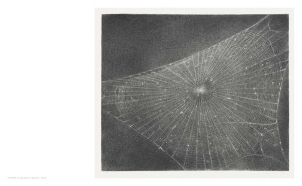Produktbild: Vija Celmins
