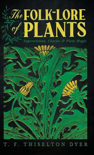 Produktbild: The Folk-Lore of Plants