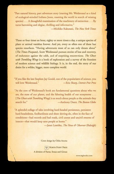 Produktbild: The Ghost with Trembling Wings
