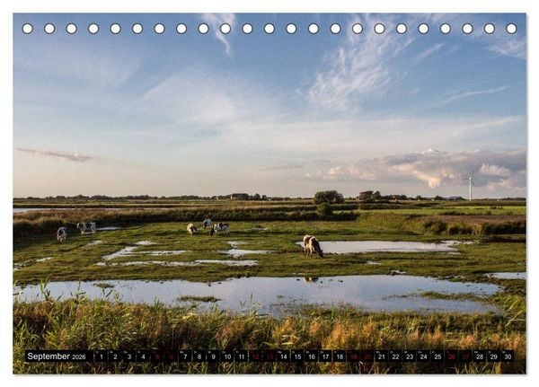Produktbild: Nordseeinsel Pellworm 2026 (Tischkalender 2026 DIN A5 quer), CALVENDO Monatskalender