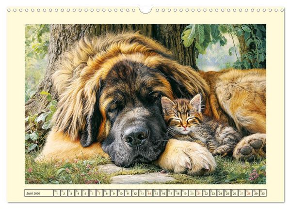 Produktbild: Der Leonberger. Majest&auml;tische L&ouml;wenhunde im Licht der Natur (Wandkalender 2026 DIN A3 quer), CALVENDO Monatskalender