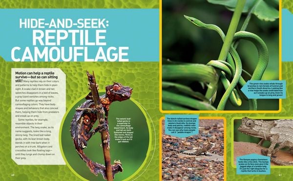 Produktbild: National Geographic Kids Ultimate Reptileopedia