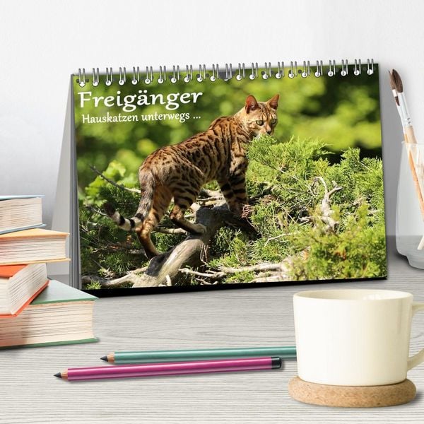 Produktbild: Freig&auml;nger - Hauskatzen unterwegs (Tischkalender 2026 DIN A5 quer), CALVENDO Monatskalender