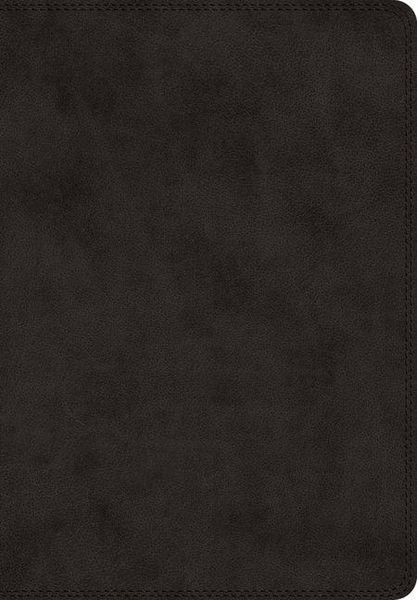 Produktbild: ESV Super Giant Print Bible