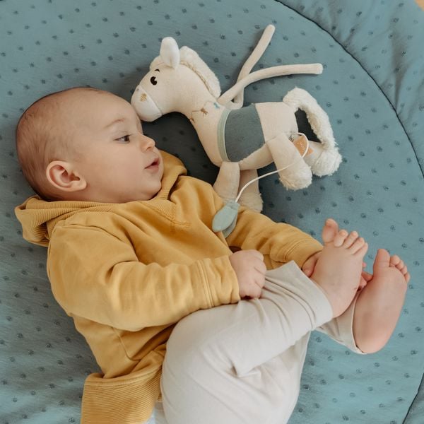 Produktbild: Mini-Spieluhr Pferd