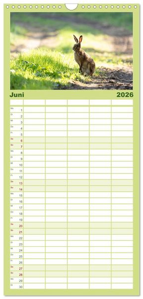 Produktbild: Familienplaner 2026 - Feldhasen unterwegs in Wald und Flur mit 5 Spalten (Wandkalender, 21 x 45 cm) CALVENDO