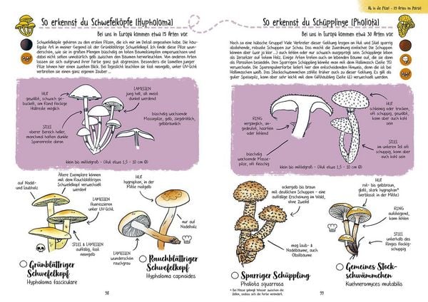 Produktbild: Pilze f&uuml;r Ahnungslose
