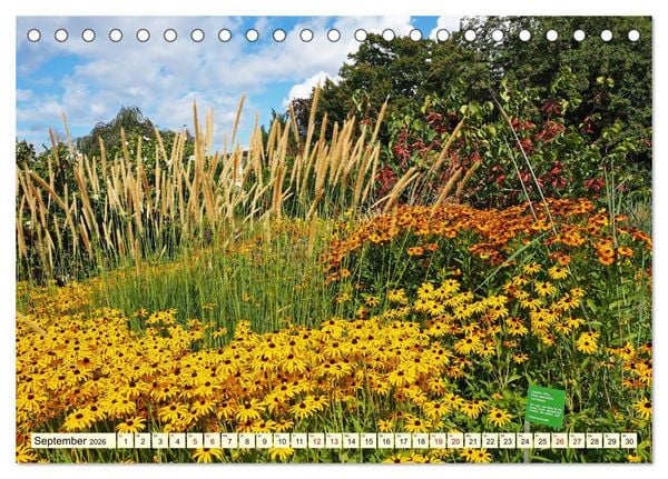 Produktbild: Der Hermannshof Das Parkjuwel in Weinheim an der Bergstra&szlig;e (Tischkalender 2026 DIN A5 quer), CALVENDO Monatskalender