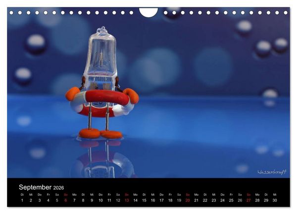 Produktbild: Bernie Blitz - Eine Birne sucht Erleuchtung (Wandkalender 2026 DIN A4 quer), CALVENDO Monatskalender