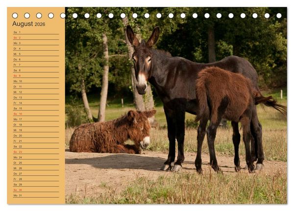Produktbild: Gro&szlig;esel an der Loreley (Tischkalender 2026 DIN A5 quer), CALVENDO Monatskalender