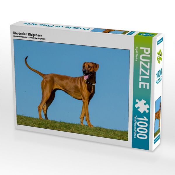 CALVENDO Puzzle Rhodesian Ridgeback | 1000 Teile Lege-Größe 64x48cm Foto-Puzzle für glückliche Stunden