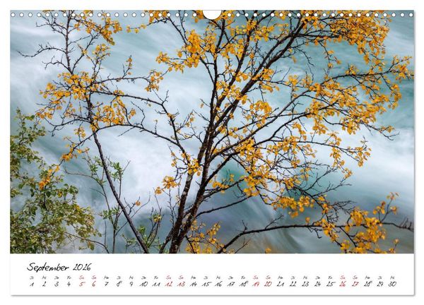 Produktbild: Im Atem der B&auml;ume (Wandkalender 2026 DIN A3 quer), CALVENDO Monatskalender