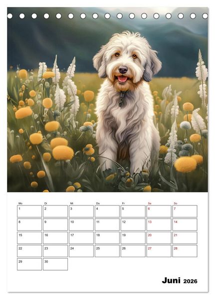 Produktbild: Aussiedoodle - Hunde zum Liebhaben (Tischkalender 2026 DIN A5 hoch), CALVENDO Monatskalender