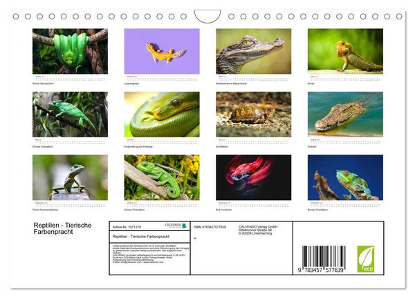 Produktbild: Reptilien - Tierische Farbenpracht (Wandkalender 2026 DIN A4 quer), CALVENDO Monatskalender