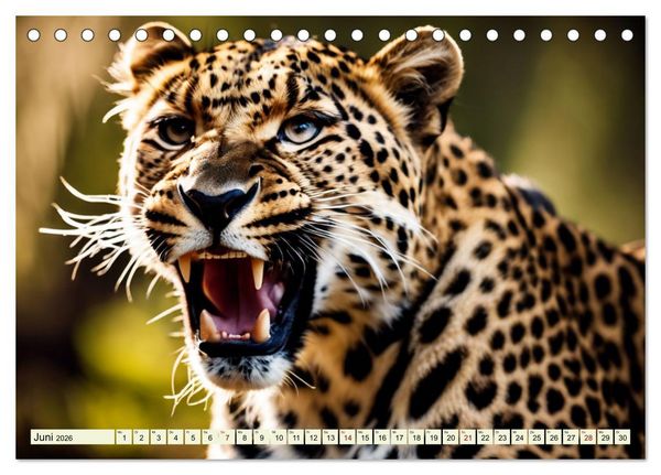 Produktbild: Gefleckte J&auml;ger (Tischkalender 2026 DIN A5 quer), CALVENDO Monatskalender