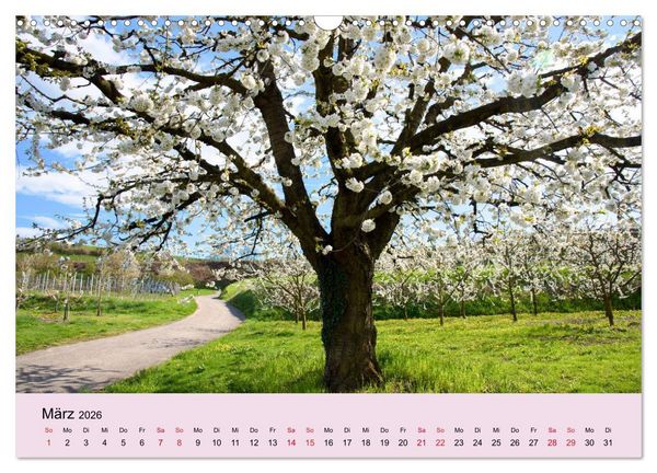 Produktbild: Augenblicke im Kaiserstuhl (Wandkalender 2026 DIN A3 quer), CALVENDO Monatskalender