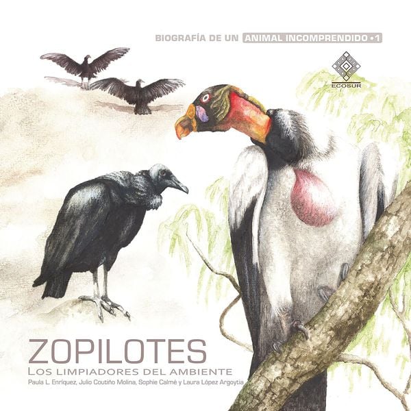 Zopilotes, los limpiadores del ambiente - Julio Coutiño Molina , Sophie Calmé , Laura López Argoytia, Audio, 9786077637370