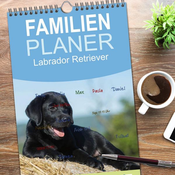 Produktbild: Familienplaner 2026 - Labrador Retriever 2026 mit 5 Spalten (Wandkalender, 21 x 45 cm) CALVENDO