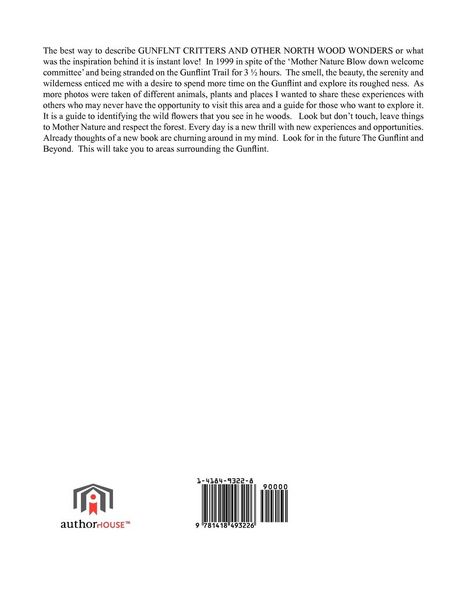 Produktbild: Gunflint Critters and Other North Wood Wonders