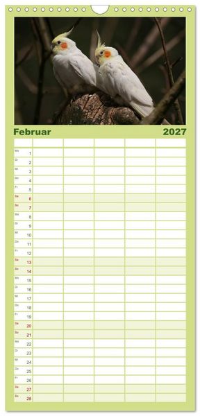 Produktbild: Familienplaner 2027 - Nymphensittiche mit 5 Spalten (Wandkalender, 21 x 45 cm) CALVENDO