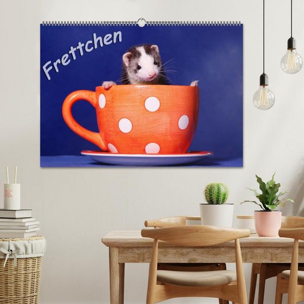 Produktbild: Frettchen - Ferrets (Wandkalender 2027 DIN A2 quer), CALVENDO Monatskalender