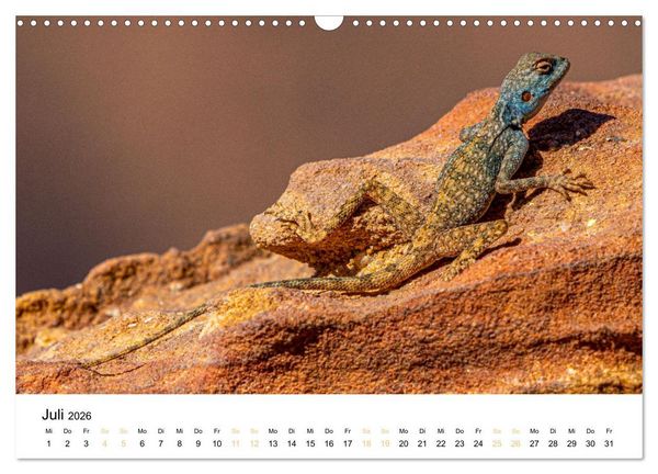Produktbild: Jordanien - Land zwischen Antike und Moderne (Wandkalender 2026 DIN A3 quer), CALVENDO Monatskalender