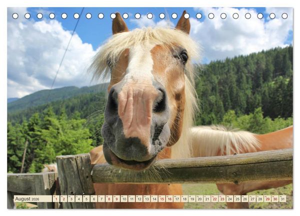 Produktbild: Tiroler Langm&auml;hnen (Tischkalender 2026 DIN A5 quer), CALVENDO Monatskalender